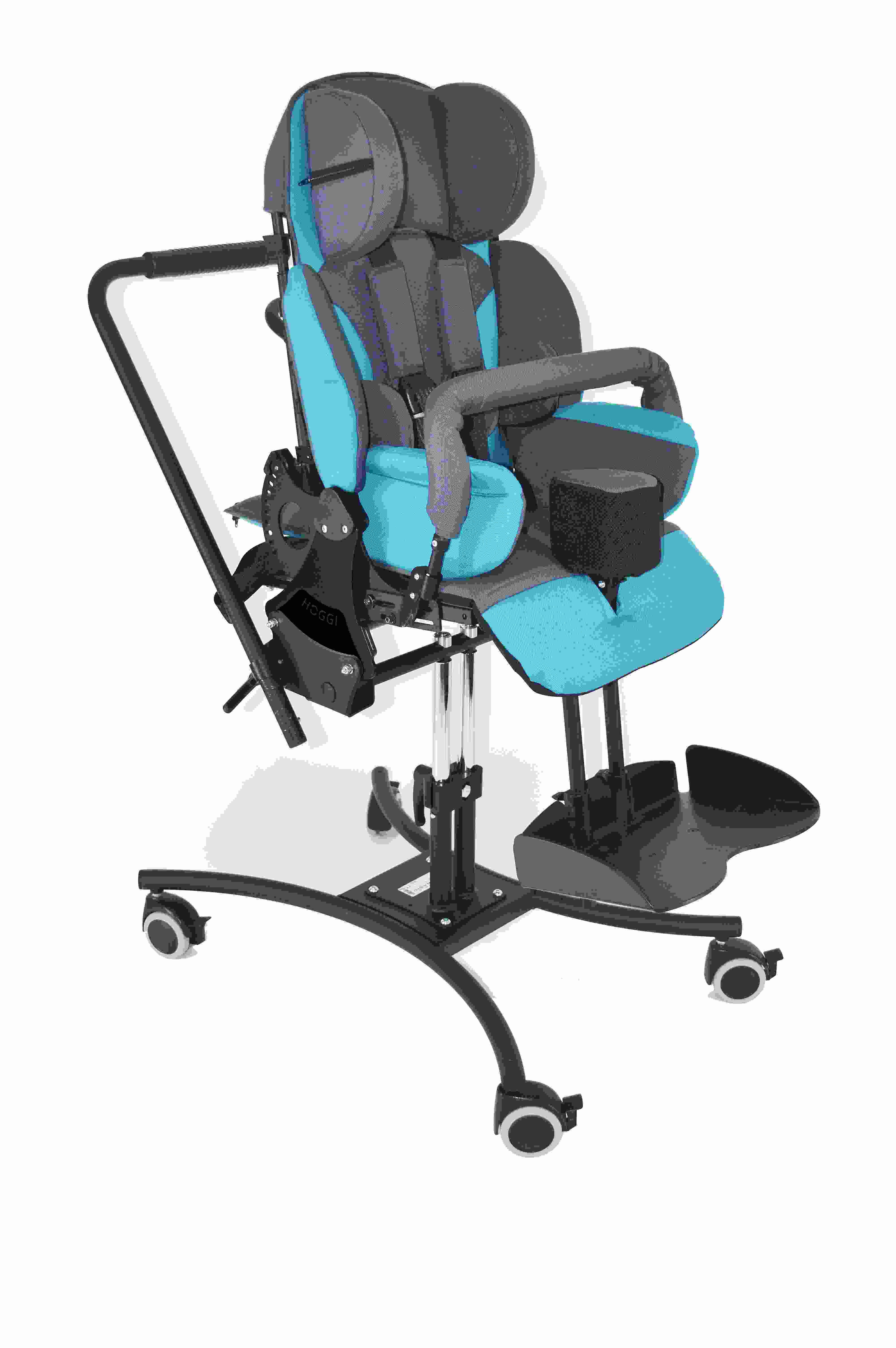 Hoggi Bingo Evolution домашняя